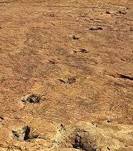 Dinosaur footprints Namibia