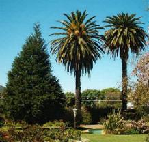 Voelgesang B&B De Rust, Western Cape, South Africa