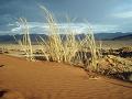 Weltevrede Guest Farm Namibia