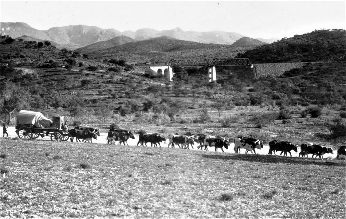 Windhoek Railway Bridge, Avis Dam, B6 highway, Windhoek, Namibia - archive photo