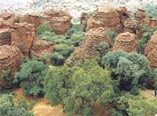 The Waterberg Plateau Park Namibia