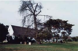 Zoutpan Struishuis Guest House Aldertinia, Western Cape, South Africa